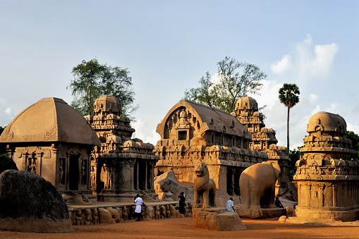Tiron Direct+ Chengalpattu