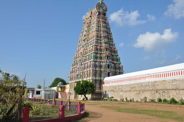 Tiron Direct+ Mannargudi