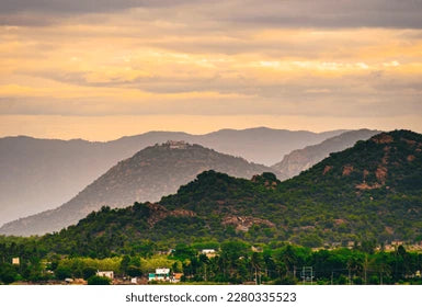 Tiron Direct + Mannachanallur